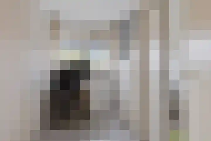 Malvert 6673 Nijmegen thumbnail 25