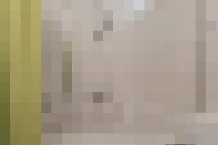 Malvert 6673 Nijmegen thumbnail 27