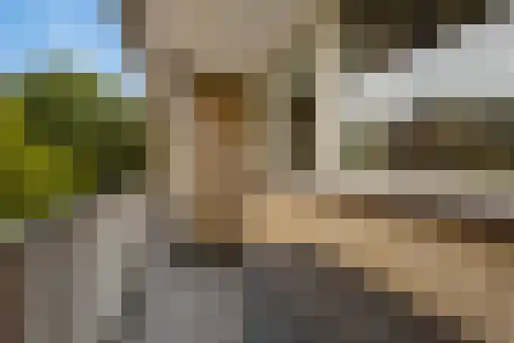 Malvert 6673 Nijmegen thumbnail 28