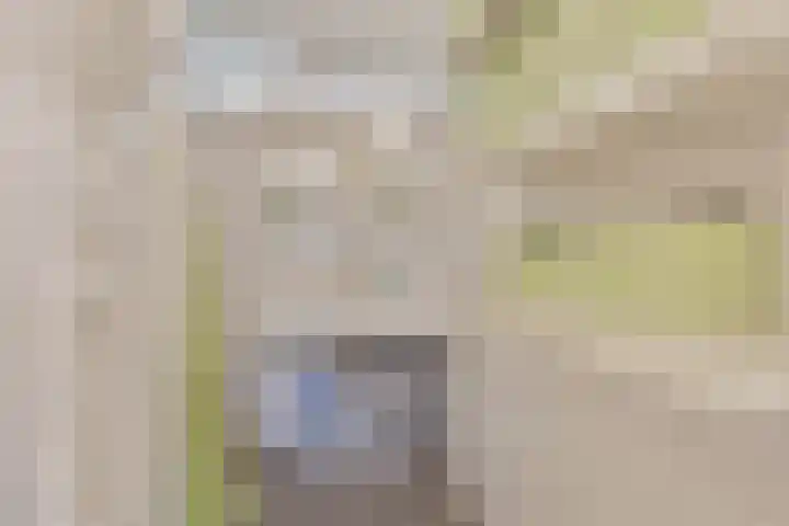 Malvert 6673 Nijmegen thumbnail 5