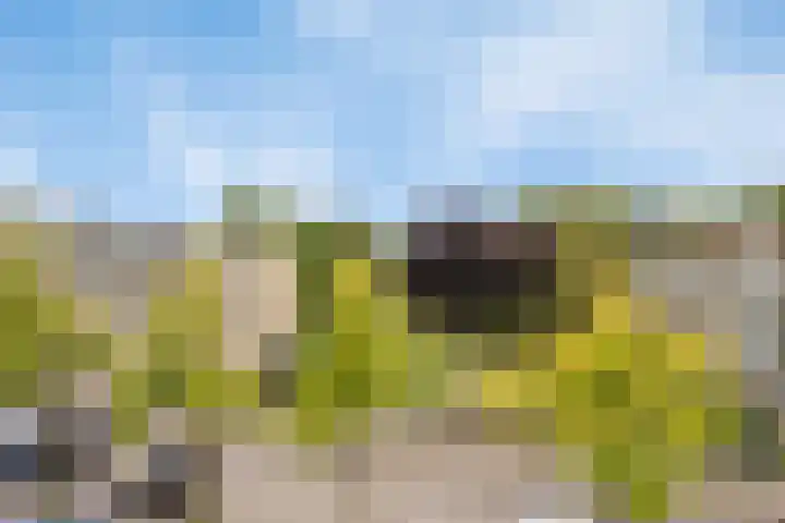 Malvert 6673 Nijmegen thumbnail 6