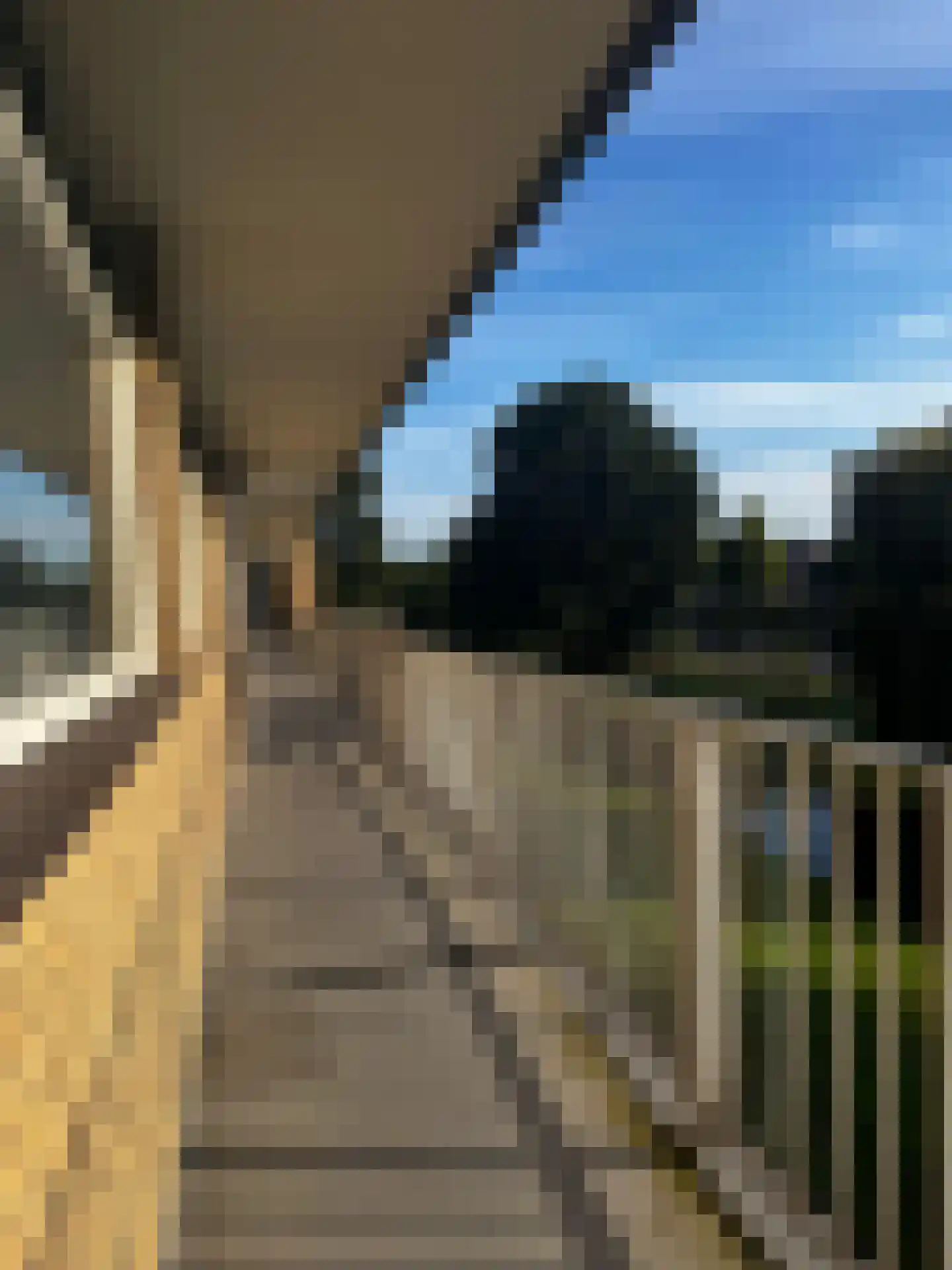 Malvert 6849 Nijmegen thumbnail 12