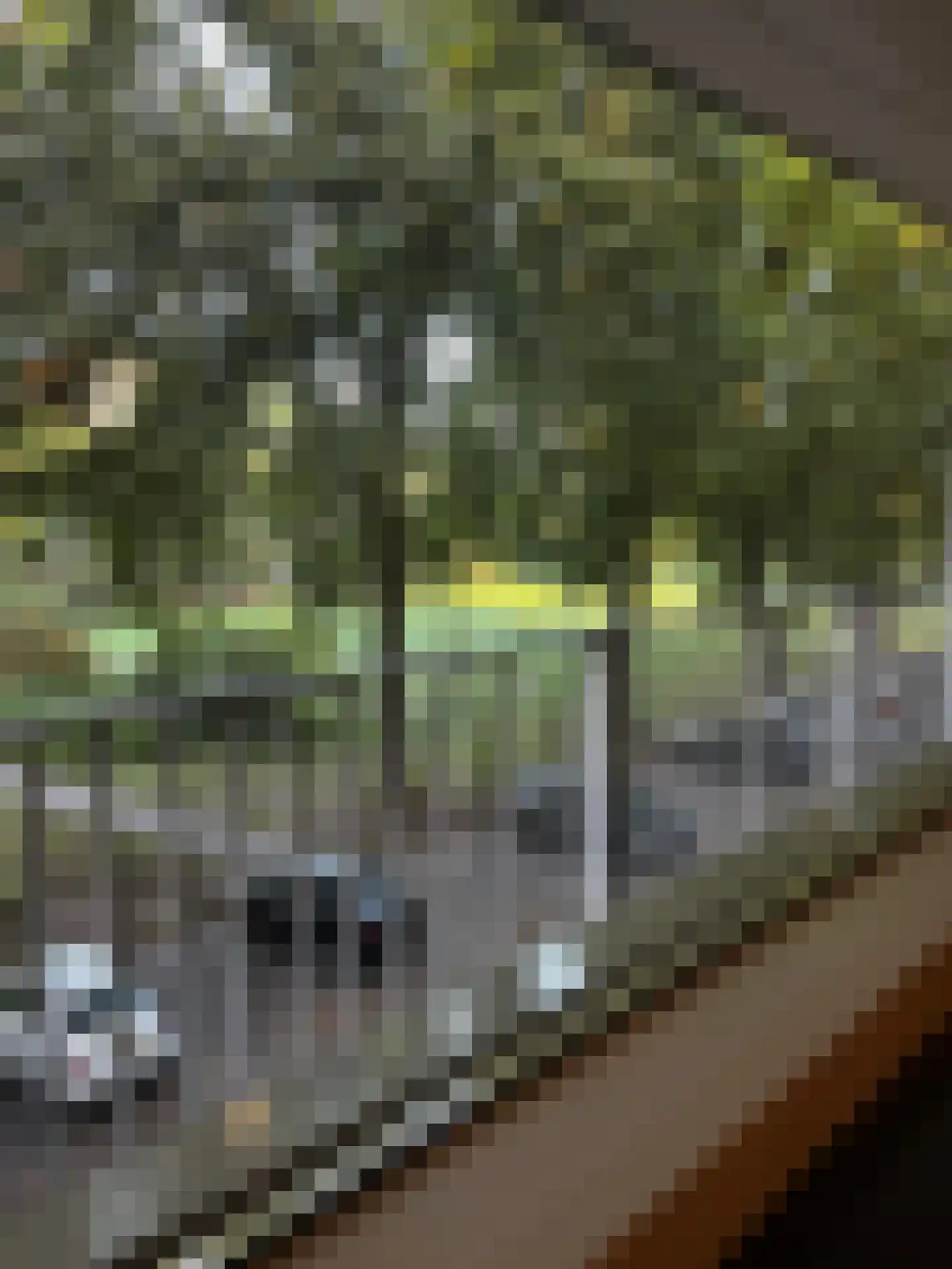 Malvert 6849 Nijmegen thumbnail 25