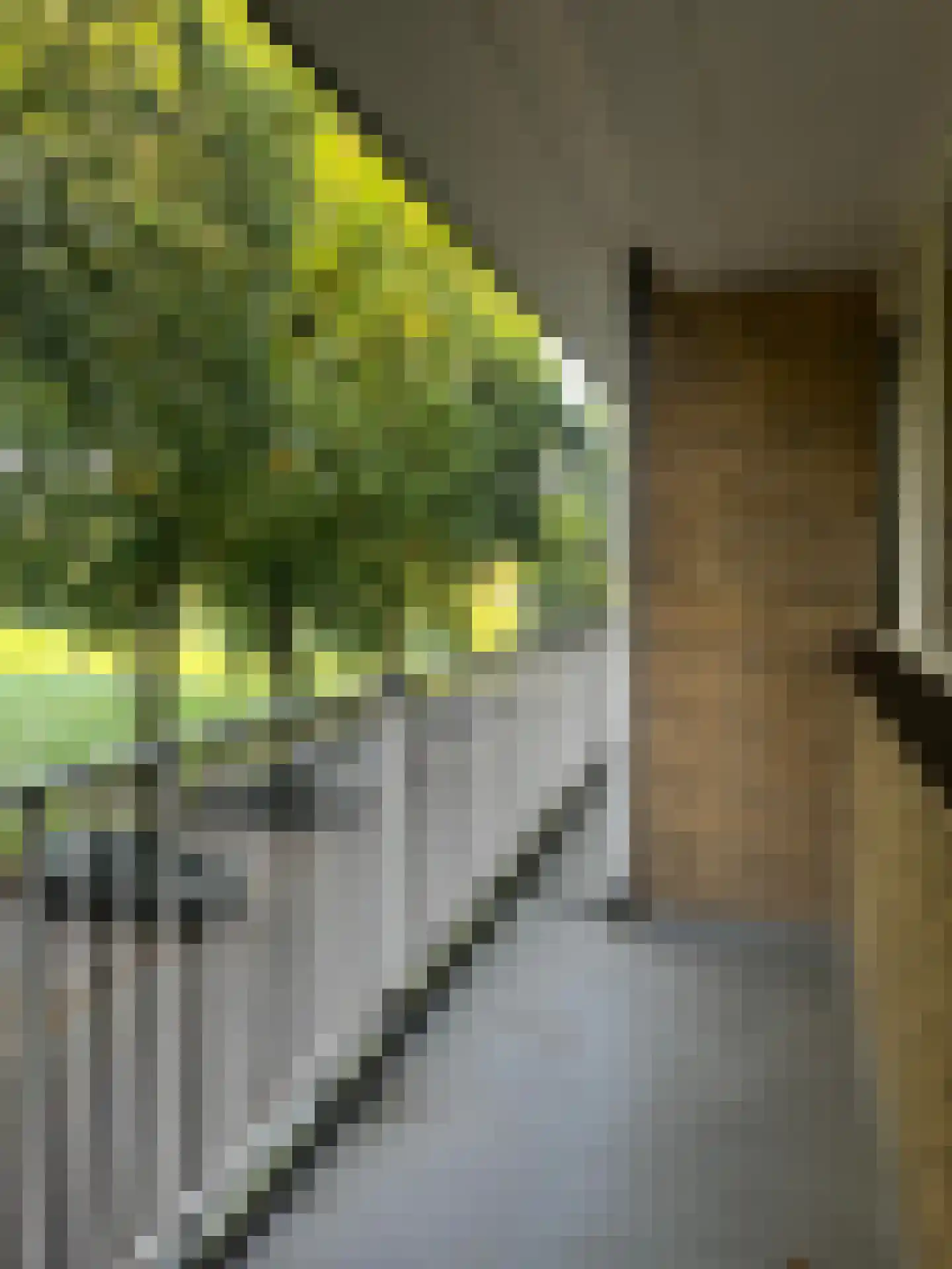 Malvert 6849 Nijmegen thumbnail 26