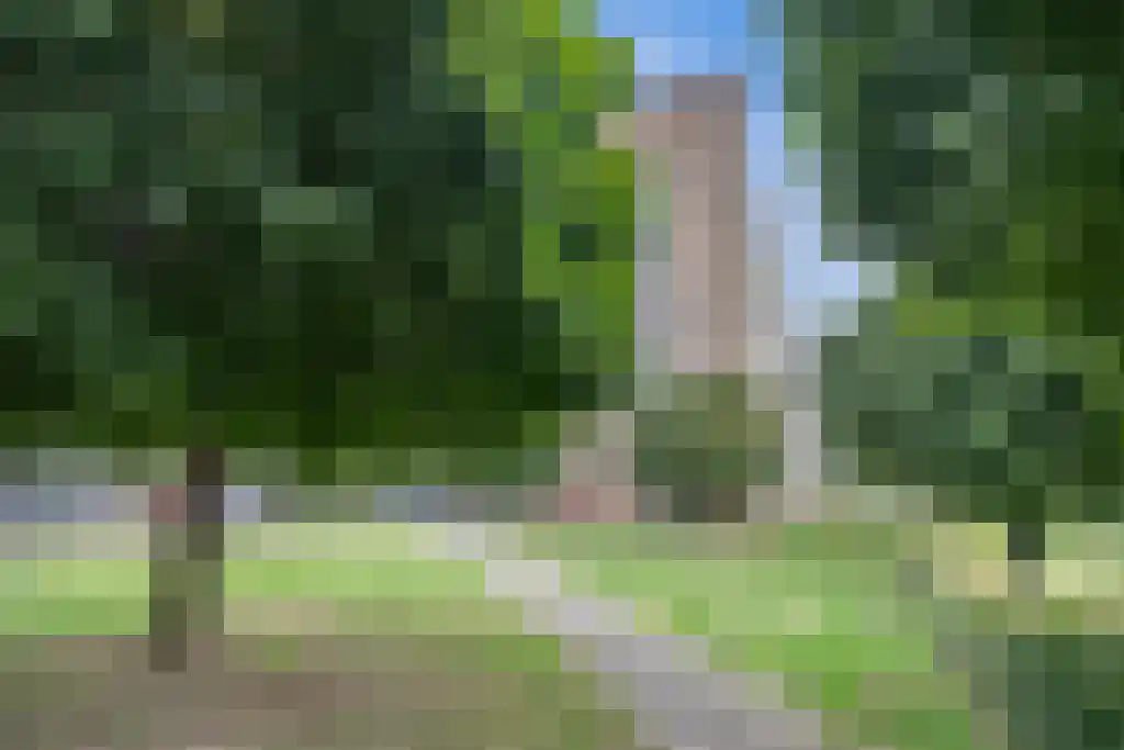 Malvert 6849 Nijmegen thumbnail 5