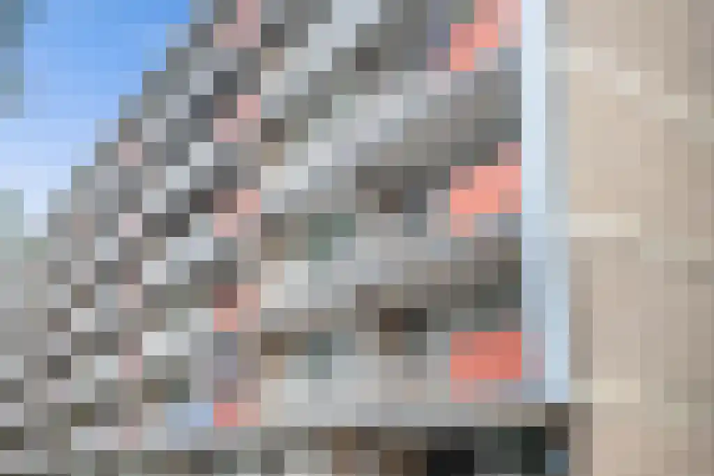 Malvert 6849 Nijmegen thumbnail 7