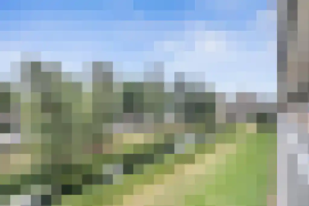 Malvert 6861 Nijmegen thumbnail 11