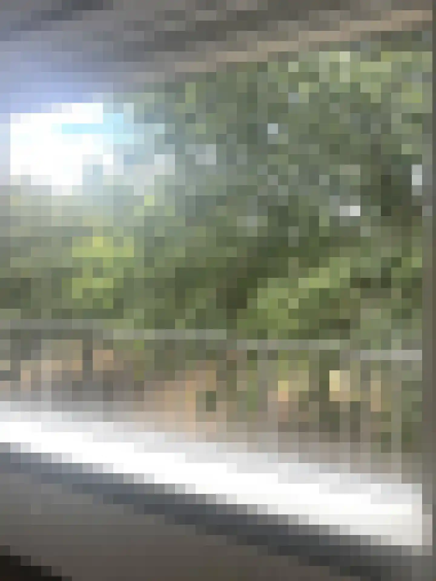 Malvert 6861 Nijmegen thumbnail 19
