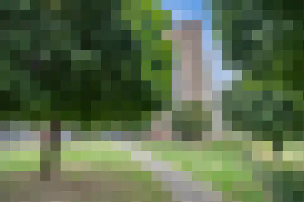 Malvert 6861 Nijmegen thumbnail 4