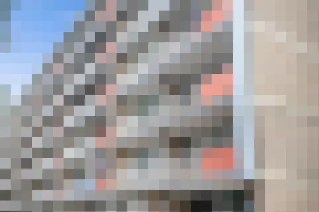 Malvert 6861 Nijmegen thumbnail 5