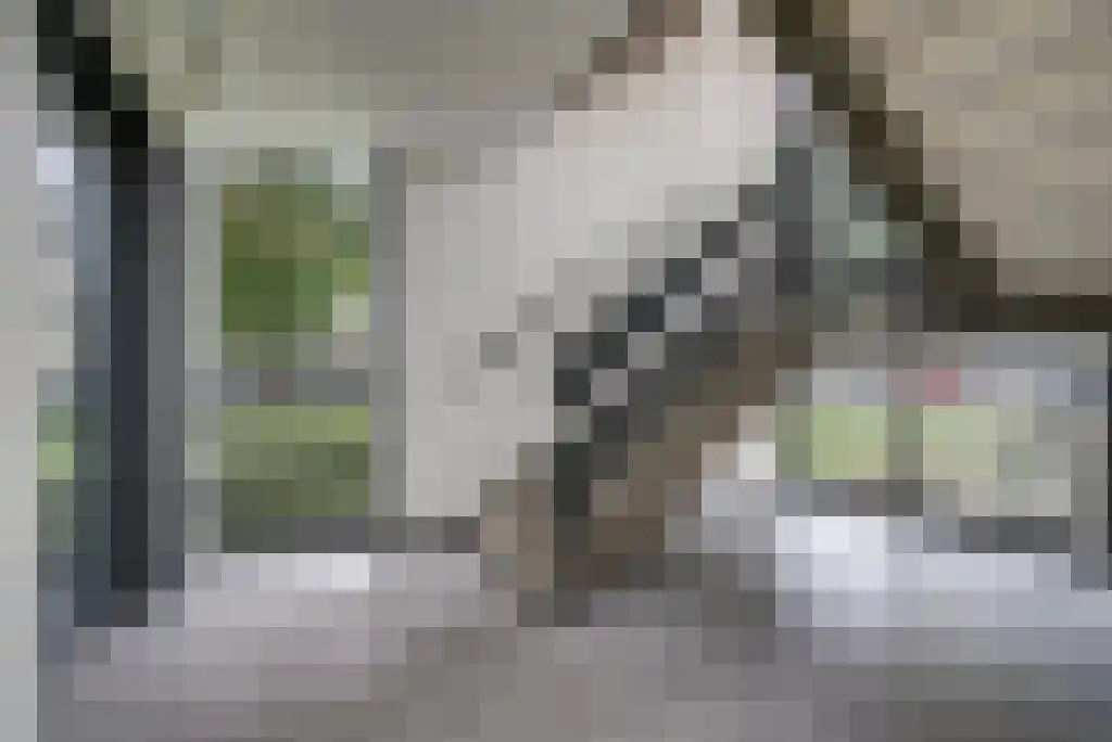 Malvert 6861 Nijmegen thumbnail 8