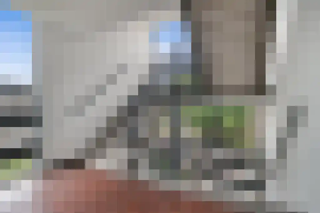 Malvert 6861 Nijmegen thumbnail 9