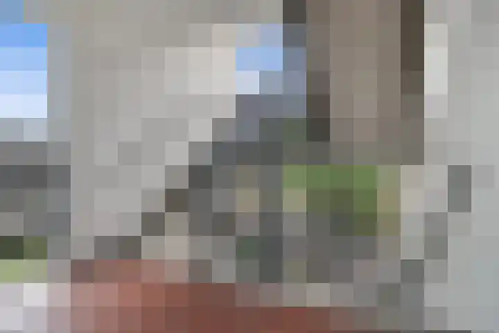 Malvert 6863 Nijmegen thumbnail 10