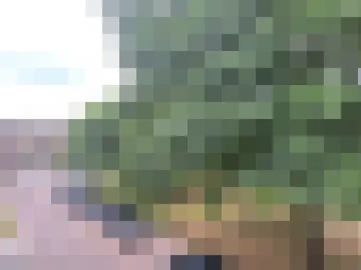 Malvert 6863 Nijmegen thumbnail 24