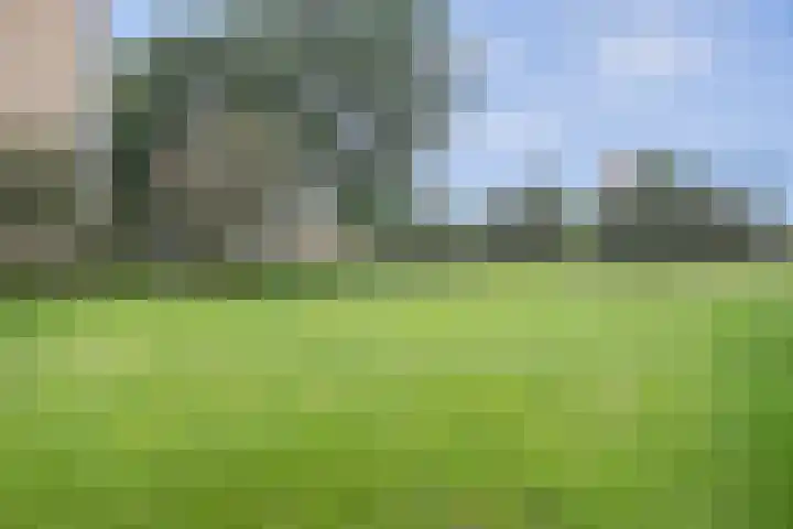 Malvert 6863 Nijmegen thumbnail 32