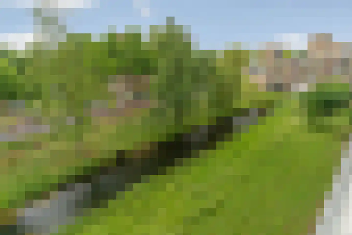 Malvert 6879 Nijmegen thumbnail 10