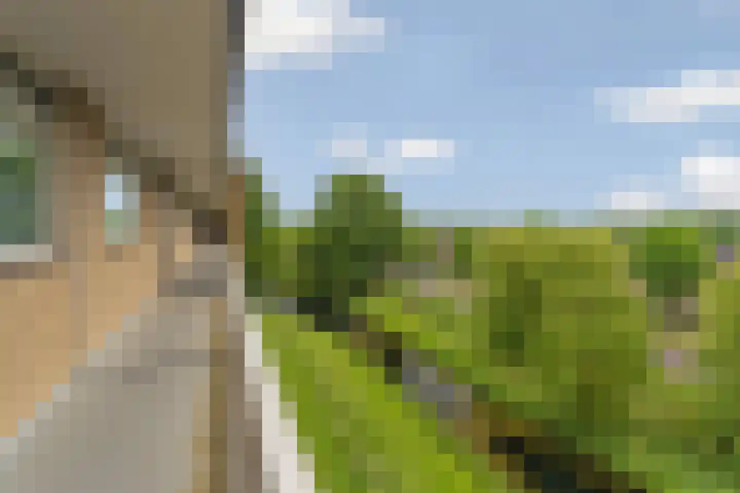 Malvert 6879 Nijmegen thumbnail 11