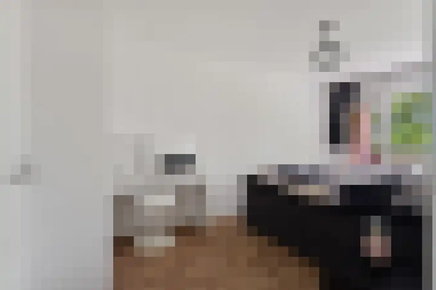 Malvert 6879 Nijmegen thumbnail 25