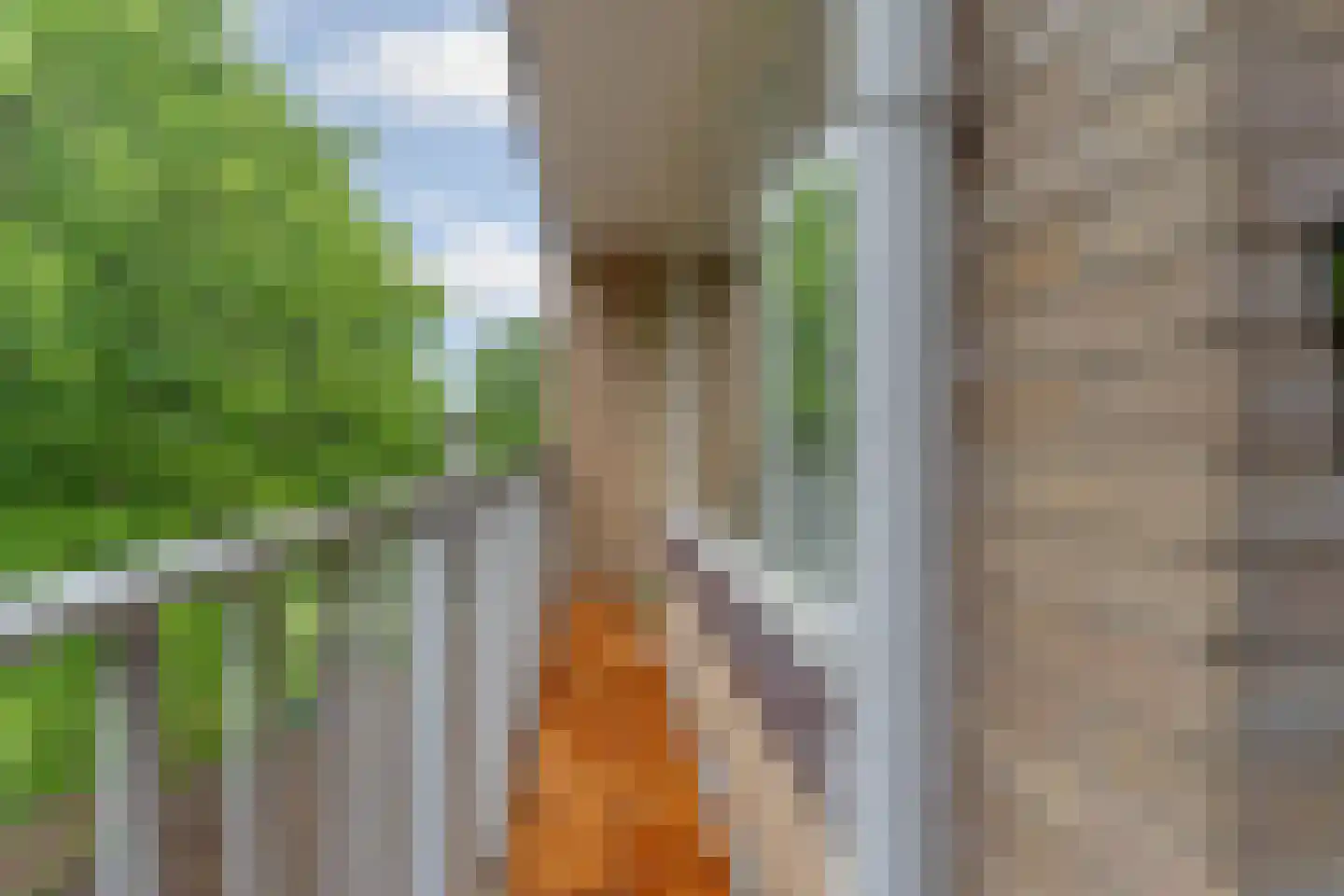 Malvert 6879 Nijmegen thumbnail 38