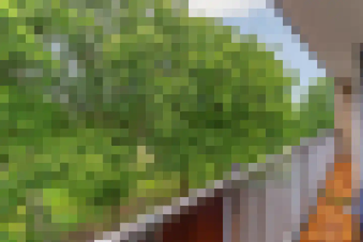Malvert 6879 Nijmegen thumbnail 39