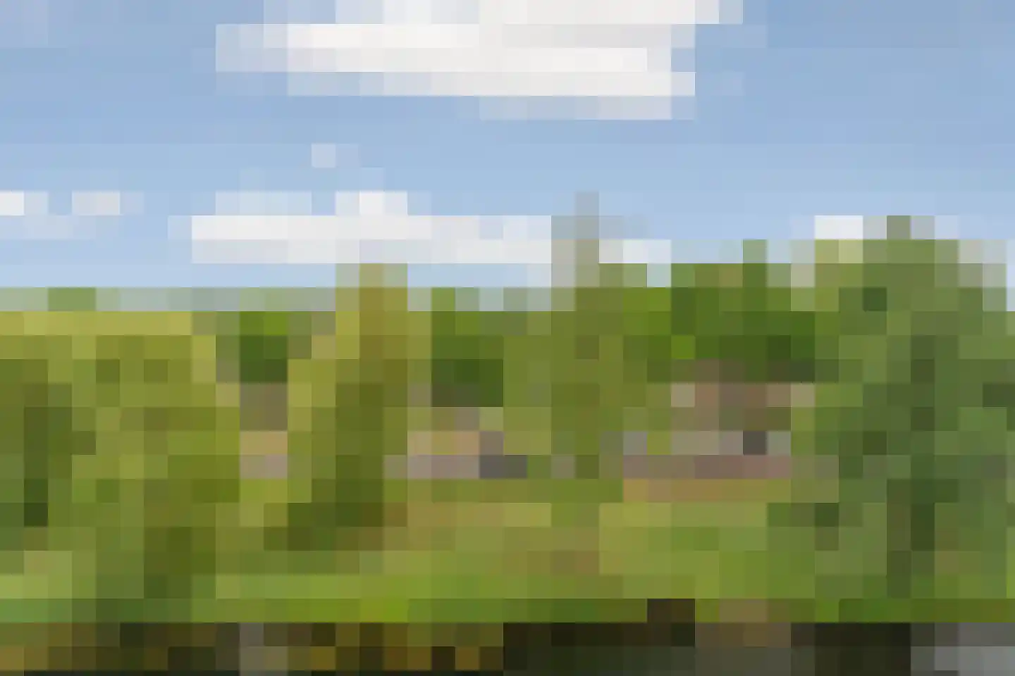 Malvert 6879 Nijmegen thumbnail 41
