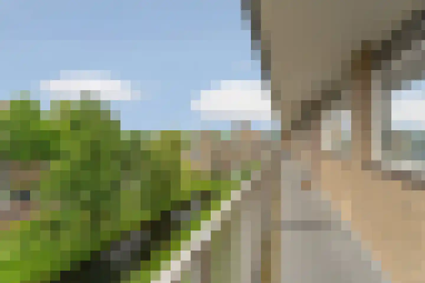 Malvert 6879 Nijmegen thumbnail 9