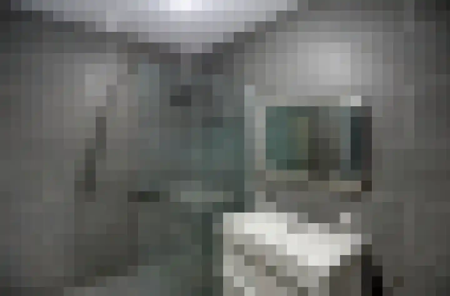 Malvert 6913 Nijmegen thumbnail 5