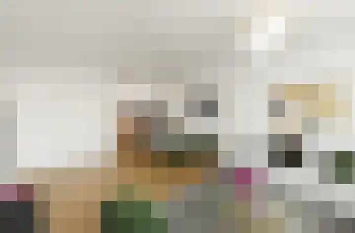 Malvert 6915 Nijmegen thumbnail 11