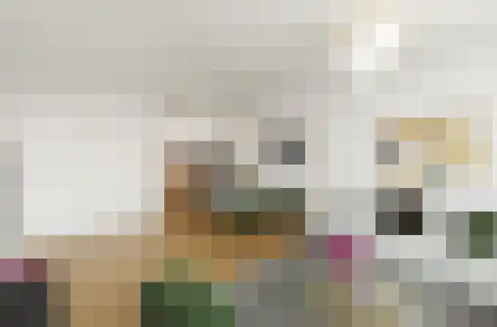 Malvert 6915 Nijmegen thumbnail 5