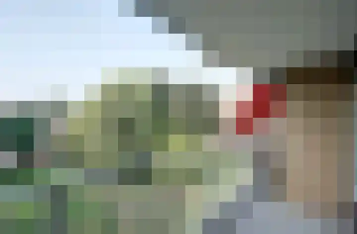 Malvert 6915 Nijmegen thumbnail 9