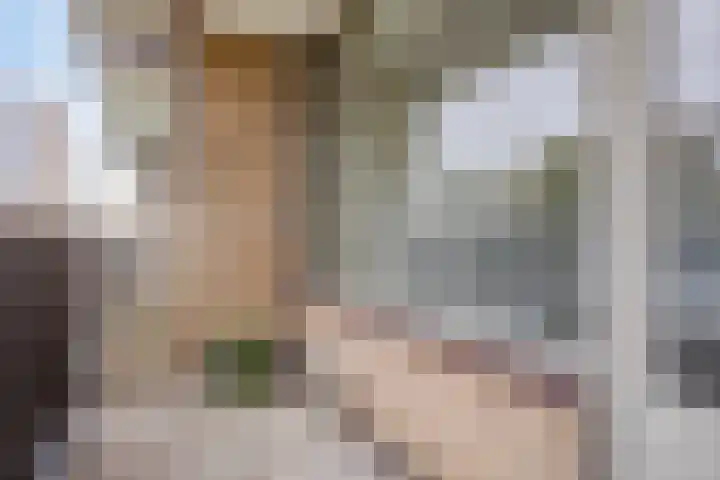 Malvert 6967 Nijmegen thumbnail 10