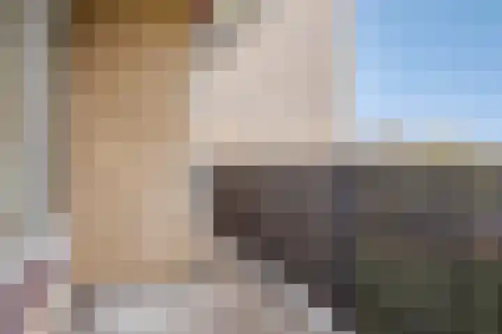 Malvert 6967 Nijmegen thumbnail 11