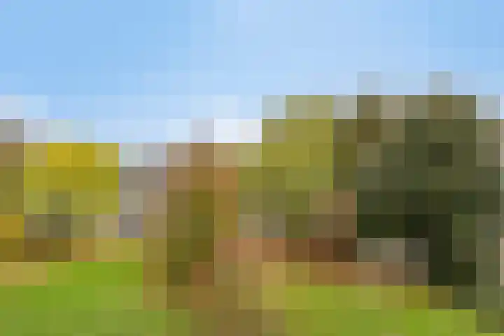 Malvert 6967 Nijmegen thumbnail 12
