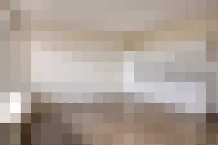 Malvert 6967 Nijmegen thumbnail 13