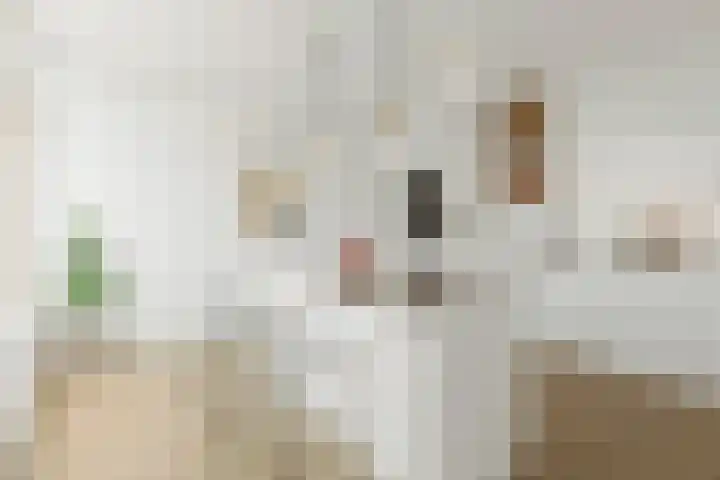 Malvert 6967 Nijmegen thumbnail 14
