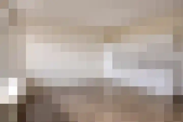 Malvert 6967 Nijmegen thumbnail 4