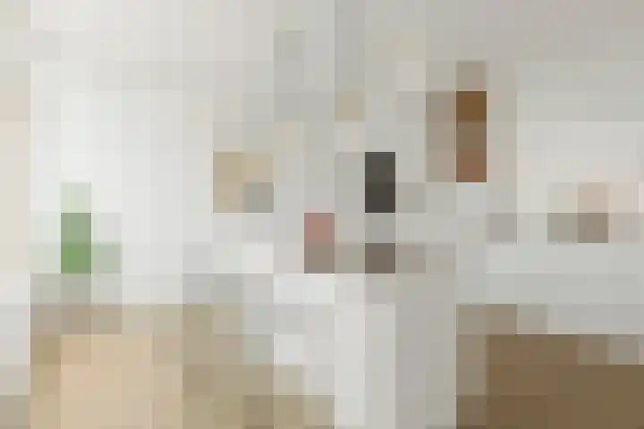 Malvert 6967 Nijmegen thumbnail 5