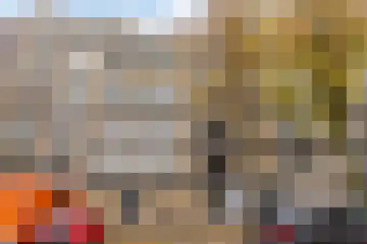 Malvert 6967 Nijmegen thumbnail 6