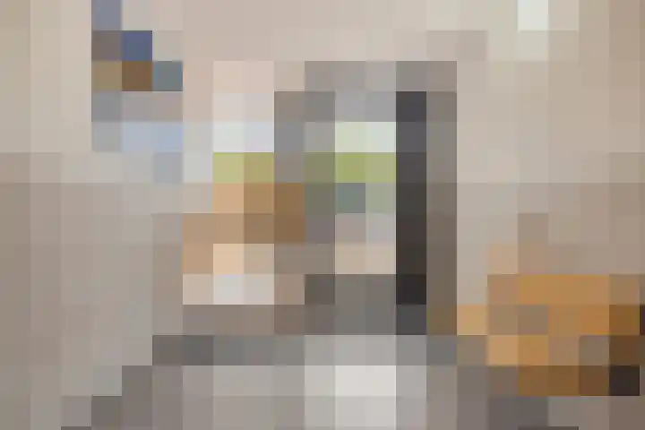 Malvert 6973 Nijmegen thumbnail 25