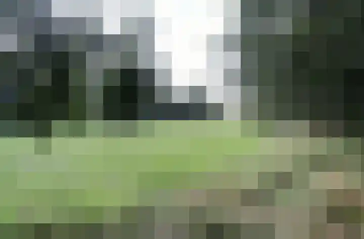 Malvert 6973 Nijmegen thumbnail 32