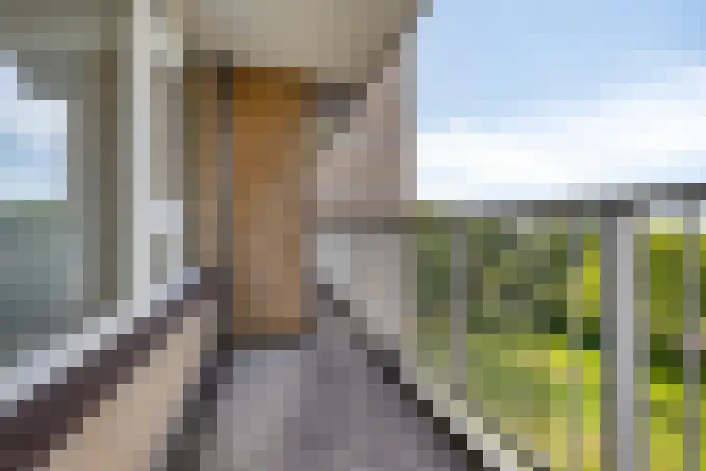 Malvert 6975 Nijmegen thumbnail 11