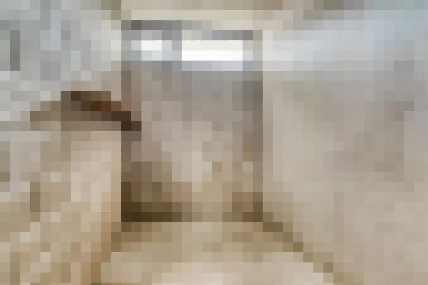 Malvert 6975 Nijmegen thumbnail 23