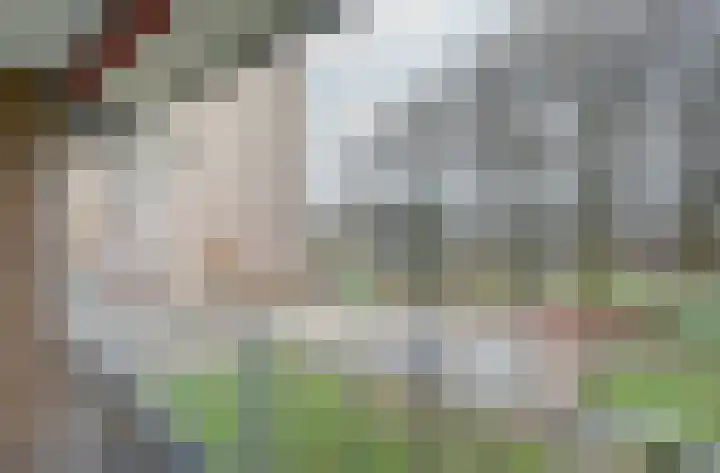 Malvert 6981 Nijmegen thumbnail 11