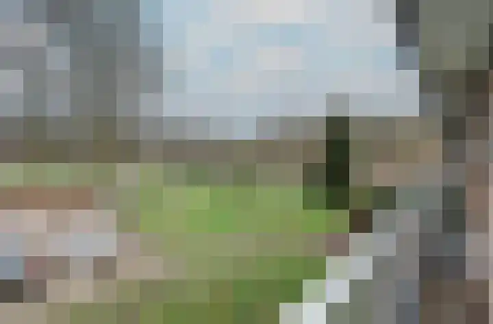 Malvert 6981 Nijmegen thumbnail 12