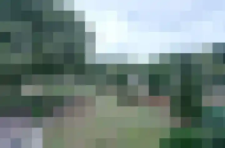 Malvert 6987 Nijmegen thumbnail 19