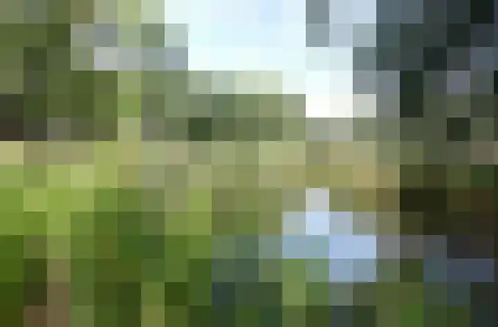 Malvert 6987 Nijmegen thumbnail 20