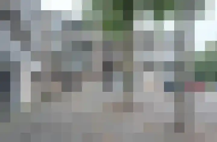 Malvert 6987 Nijmegen thumbnail 31