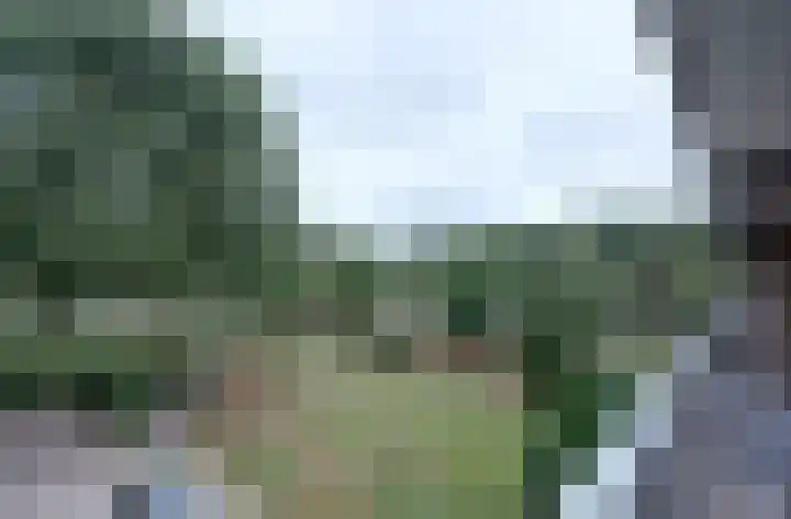 Malvert 6987 Nijmegen thumbnail 6