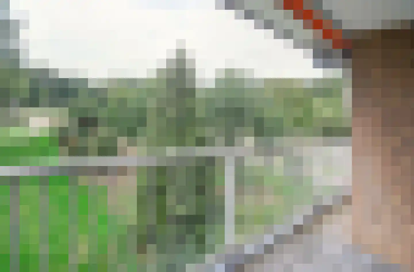 Malvert 6991 Nijmegen thumbnail 11