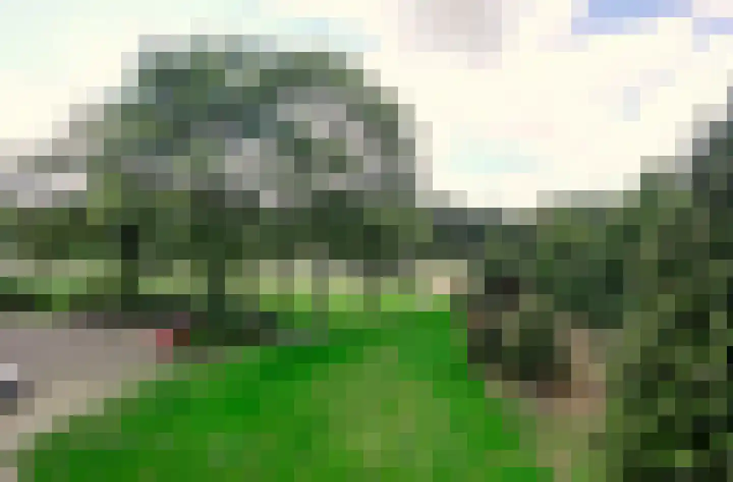 Malvert 6991 Nijmegen thumbnail 12